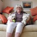 Hereford Times: Janet Jarvis